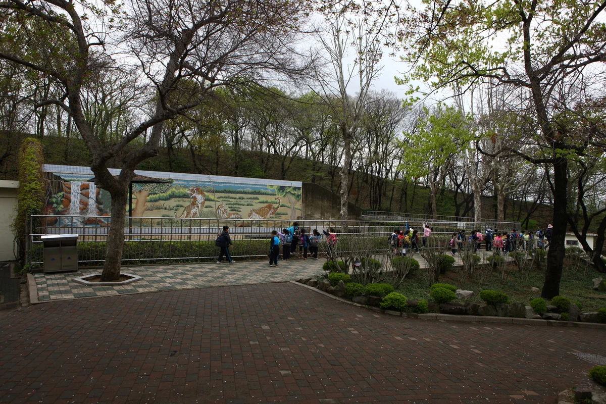 2026 달성공원 주말 나들이, 역사와 자연 만나는 대구 도심 속 힐링 명소 BEST 5