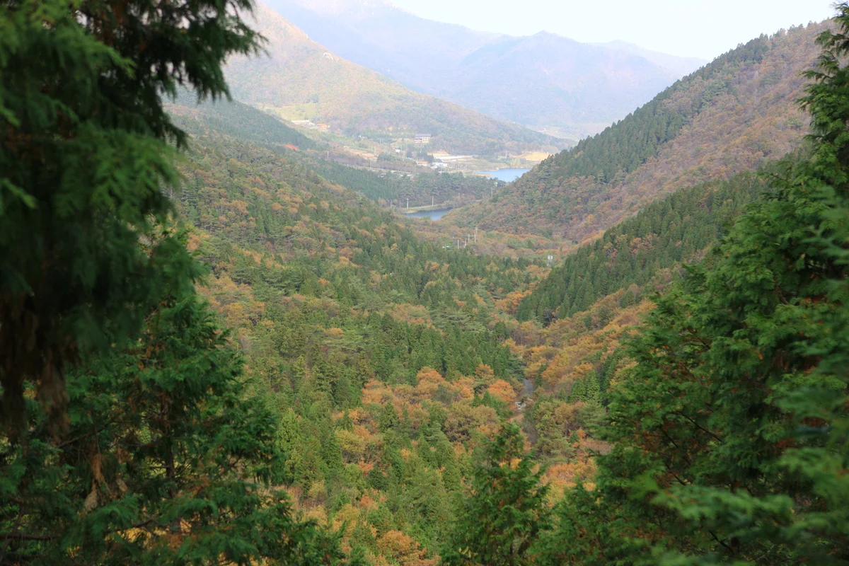 남해 편백자연휴양림 - 경남캠핑 여행