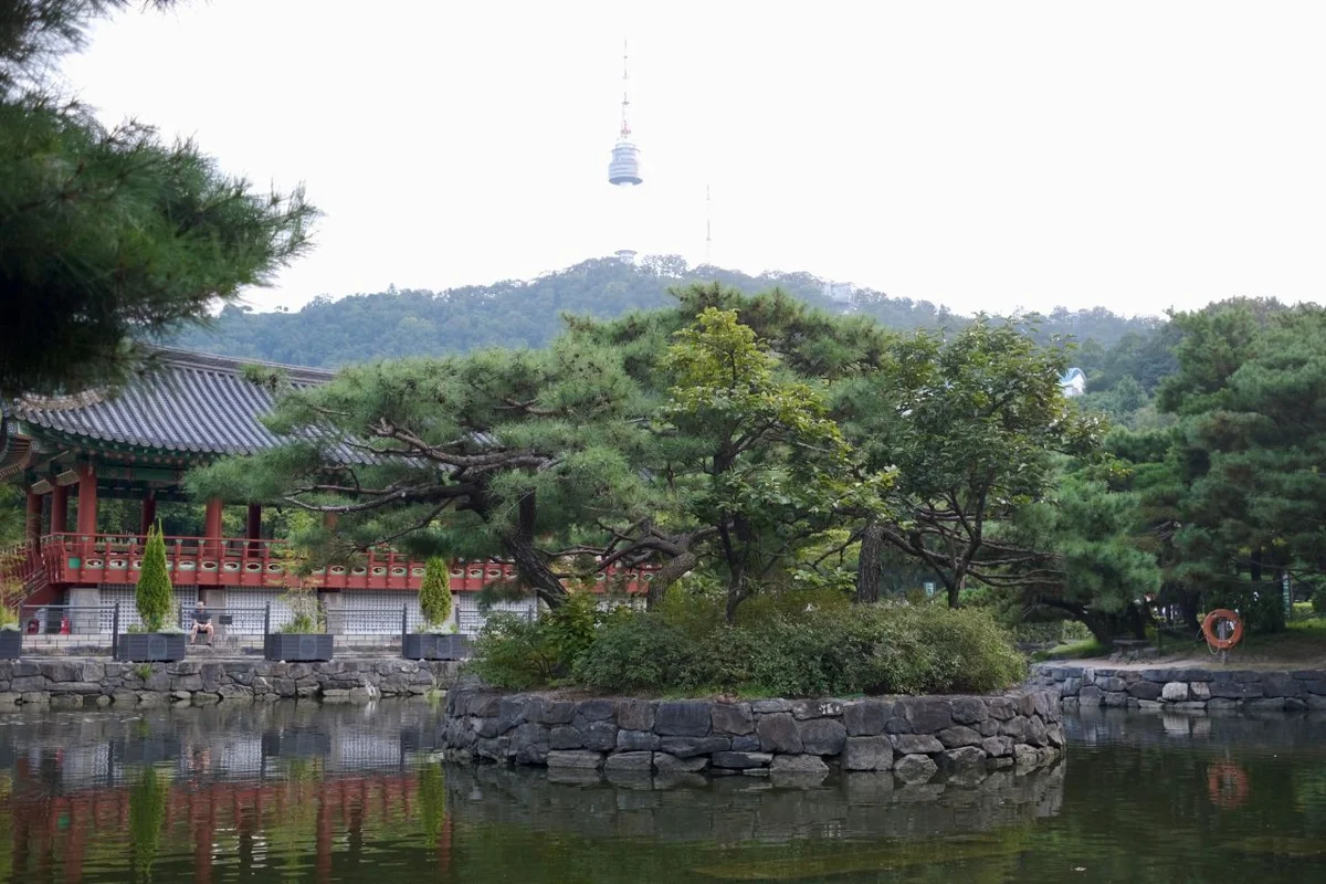 N서울타워 가는법 2026년 겨울 여행자를 위한 완벽 가이드