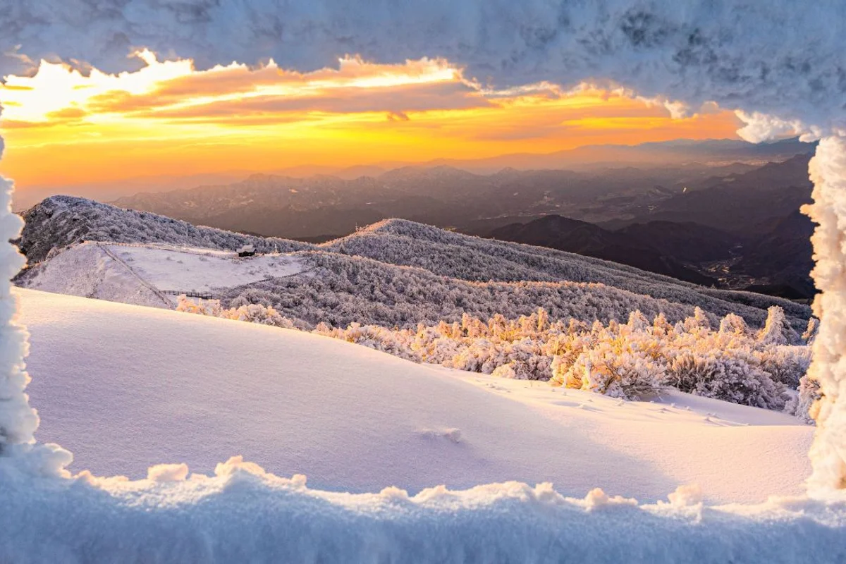 2월 수원 가볼만한곳 2026년 겨울, 지금 꼭 가봐야 할 명소 6곳