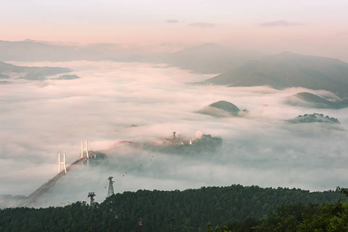 사천시 벚꽃 명소 (출처 : 한국관광공사)