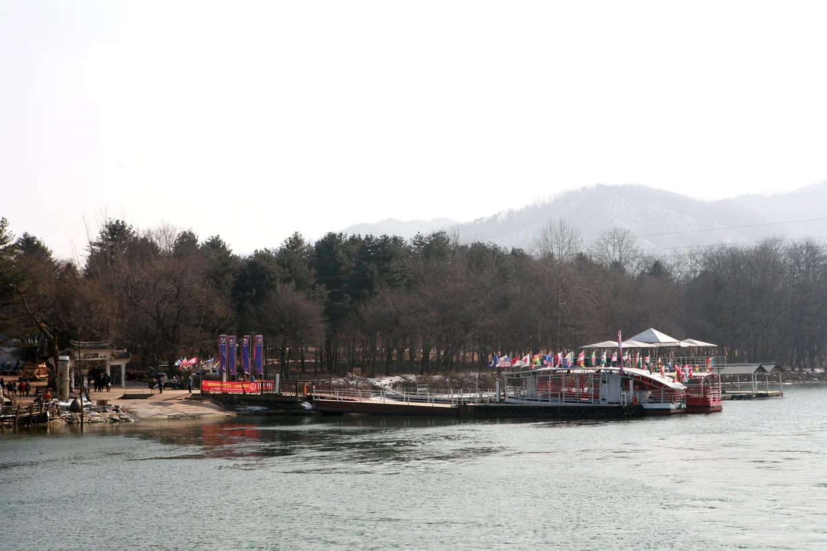 남이섬 벚꽃 (출처 : 한국관광공사)