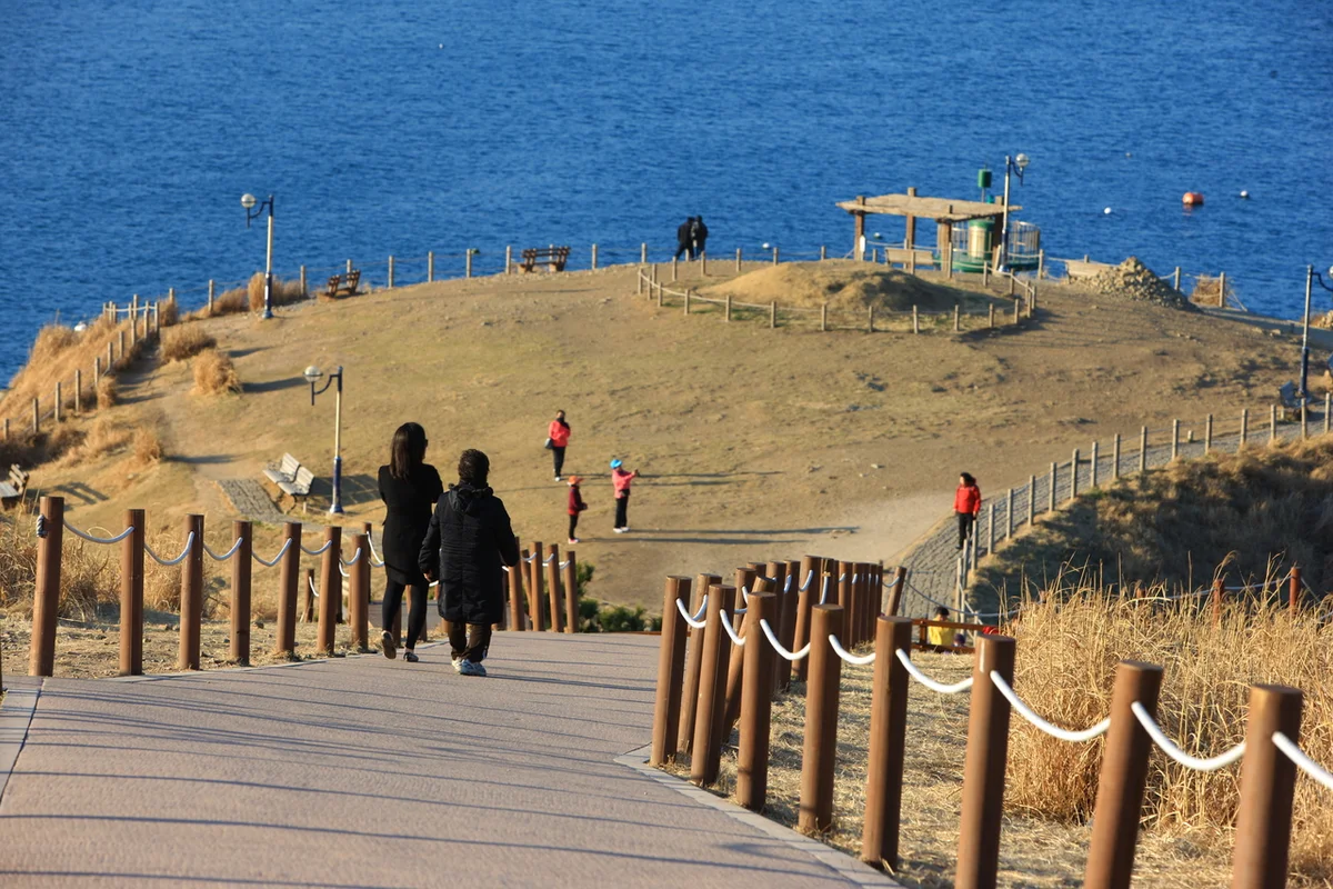 바람의 언덕 - 외도벚꽃 여행