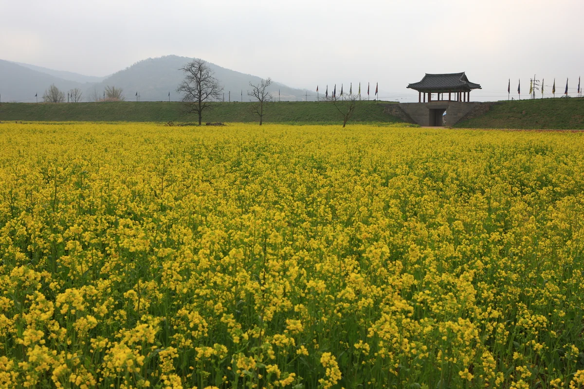 서산 해미읍성 - 3월충남여행 여행