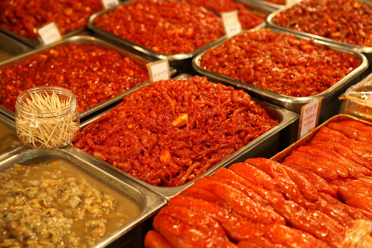 새로운 시작, 노량진 벚꽃 2026 봄 추천 명소 5곳