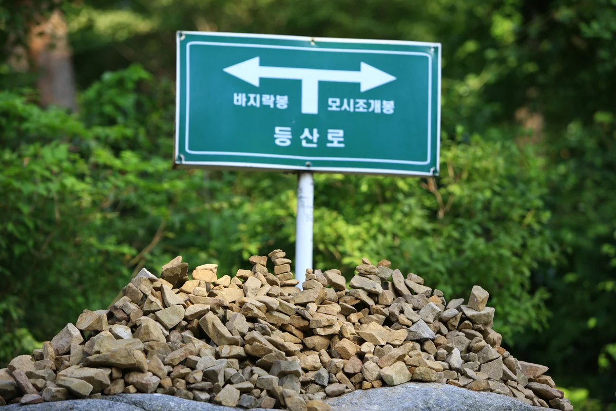 안면도 자연휴양림 - 3월충남여행 여행