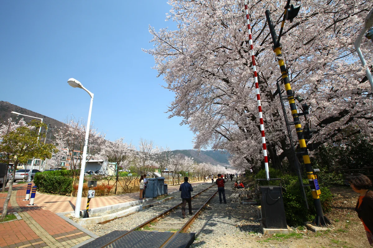 창원 숙소 BEST 5, 2026년 봄의 하이라이트 - 창원여행 여행