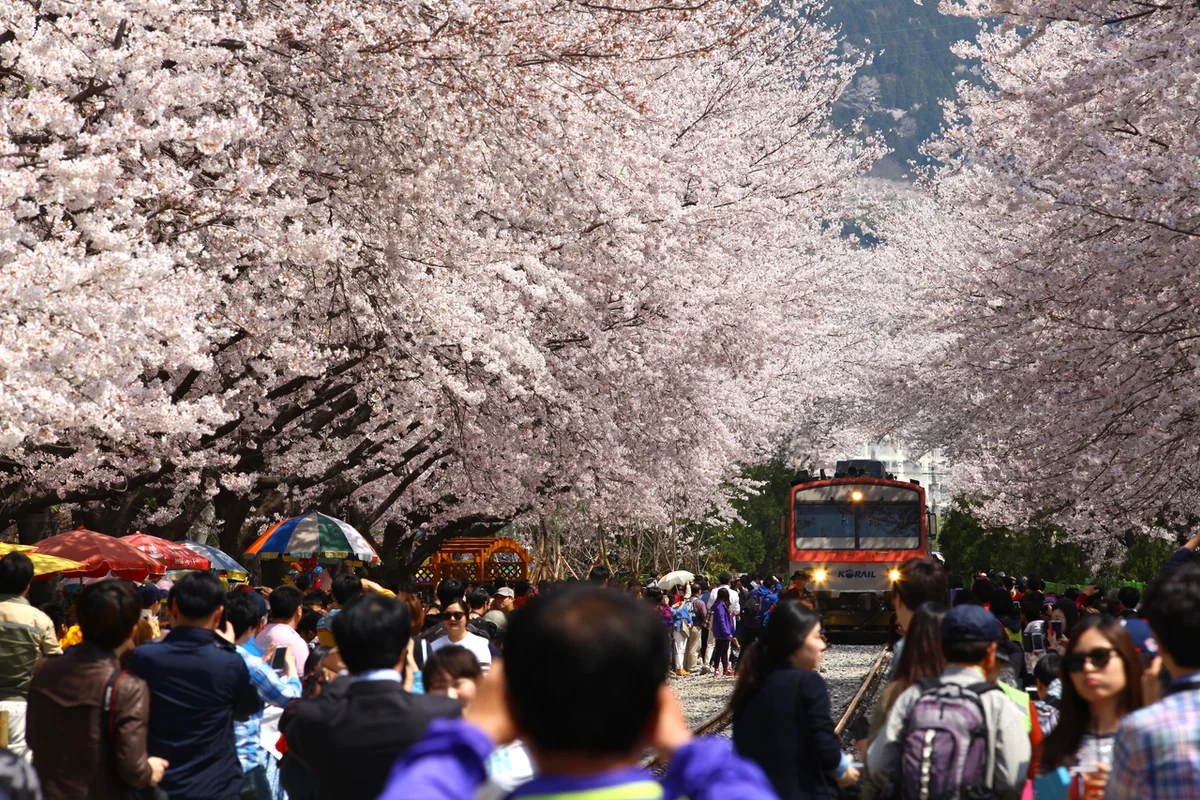 진해보타닉뮤지엄 - 창원여행 여행