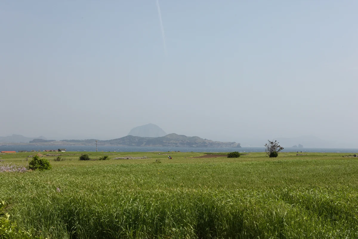 부산자갈치시장 - 남포동 여행