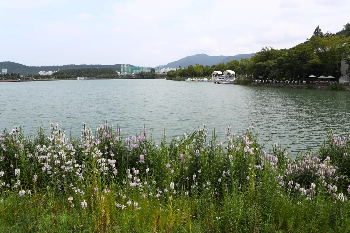 수성유원지 - 대구여행 여행
