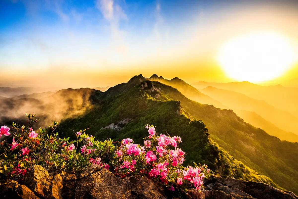 3월 충남 여행 (출처 : 한국관광공사)