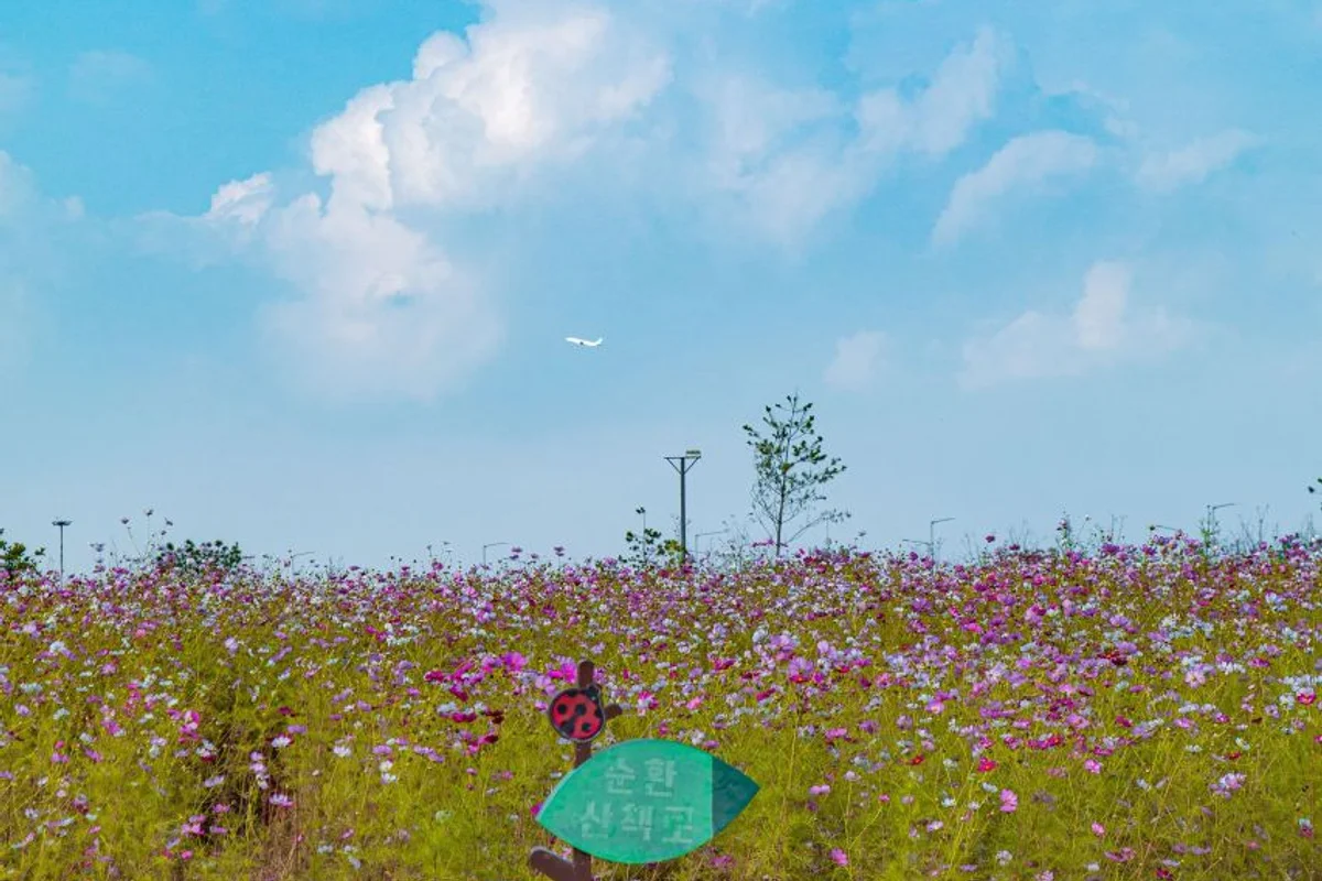 계양 봄 가볼만한곳 (출처 : 한국관광공사)