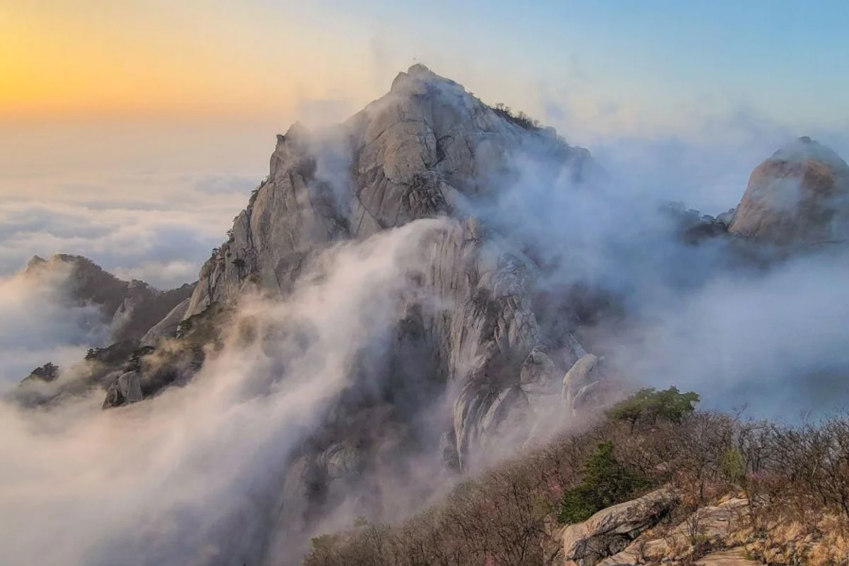 강북구 벚꽃 (출처 : 한국관광공사)