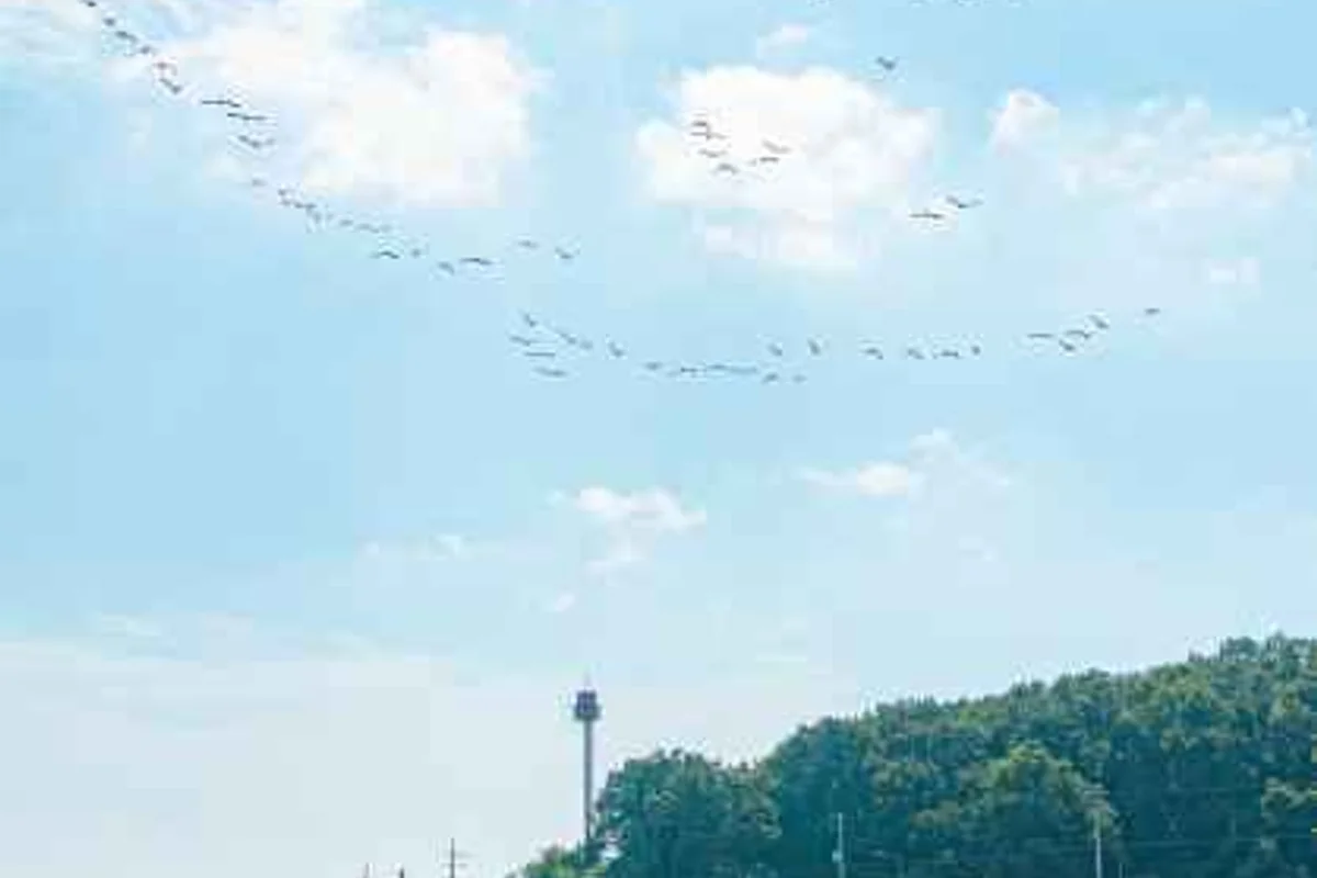 인천 데이트 코스 TOP 5 (출처 : 한국관광공사)