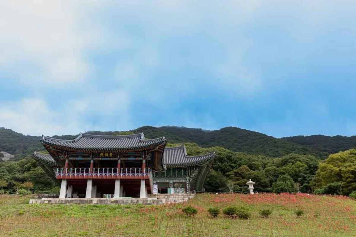 3월 부산 봄나들이 추천 (출처 : 한국관광공사)