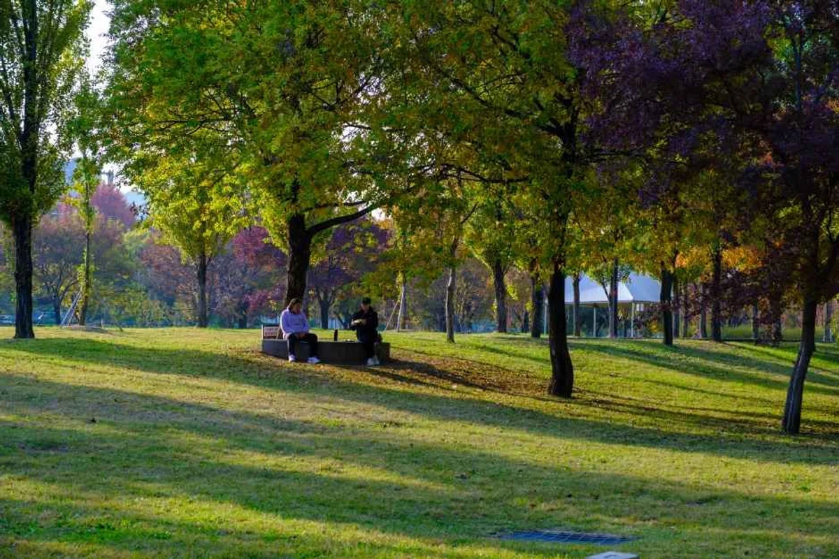 한강공원 - 노량진벚꽃 여행