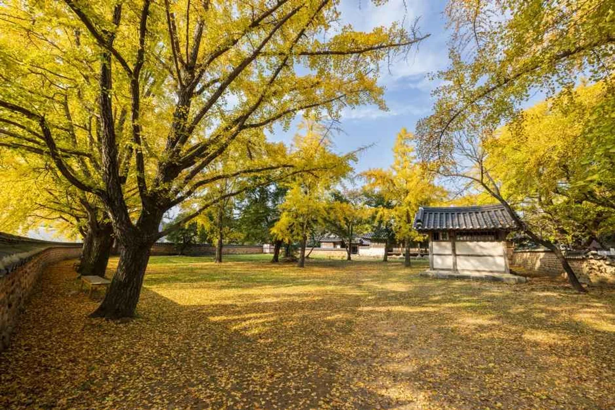 개화예술공원 - 보령여행 여행