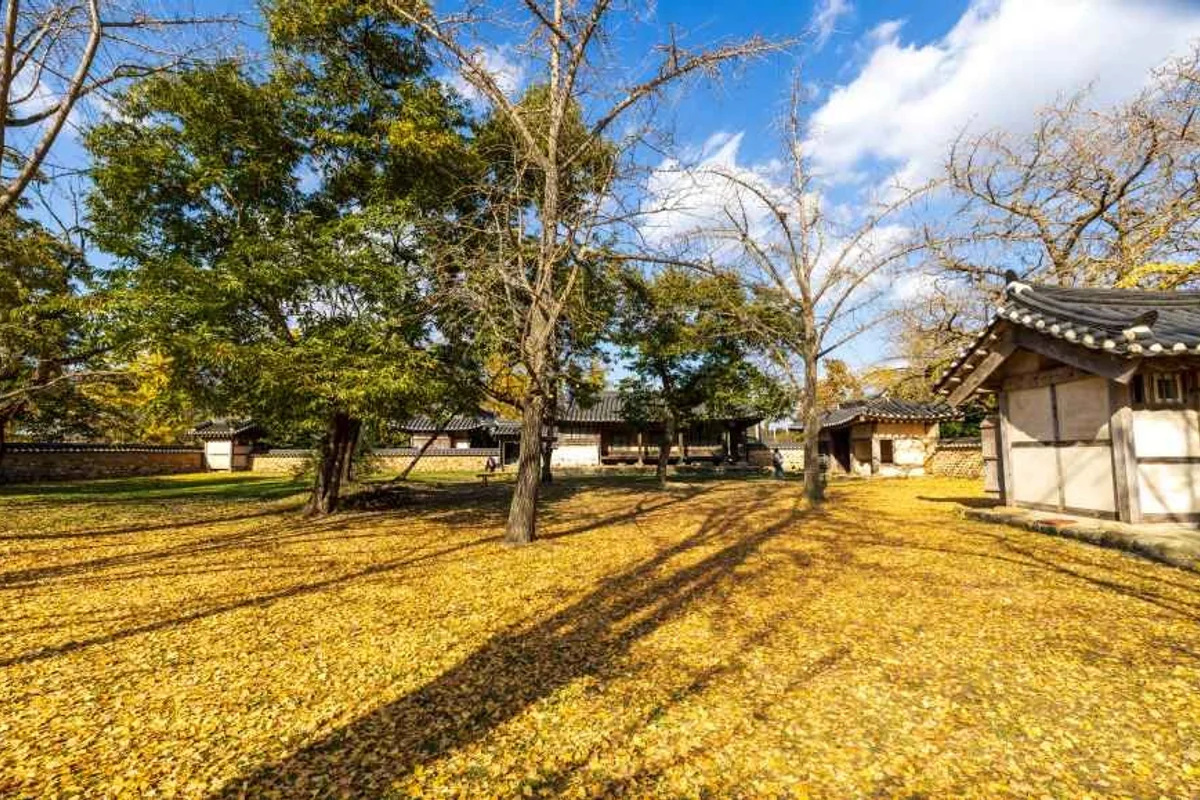 죽도 상화원 - 보령여행 여행